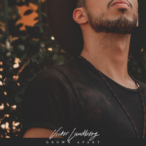 91麻豆精品91久久久ios版
